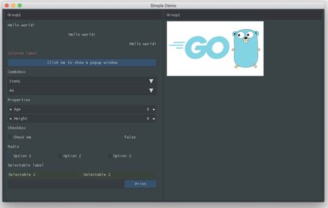 Image result for Go Lang GUI