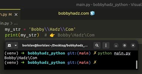 Image result for Escape Backslash Python