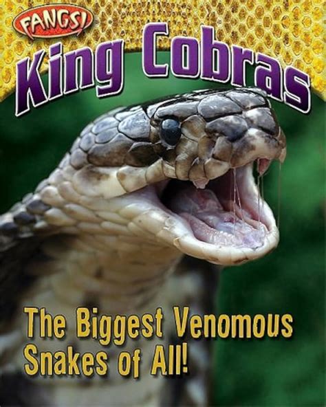 Image result for King Cobra Fangs