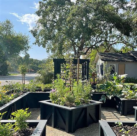 Image result for Planting in Landscape Construction