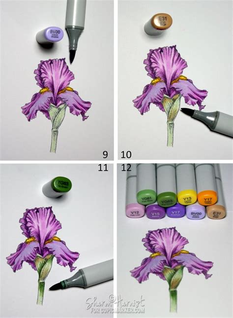 Coloring a Purple Iris | Copic Marker – U.S. & Canada | Copic marker ...