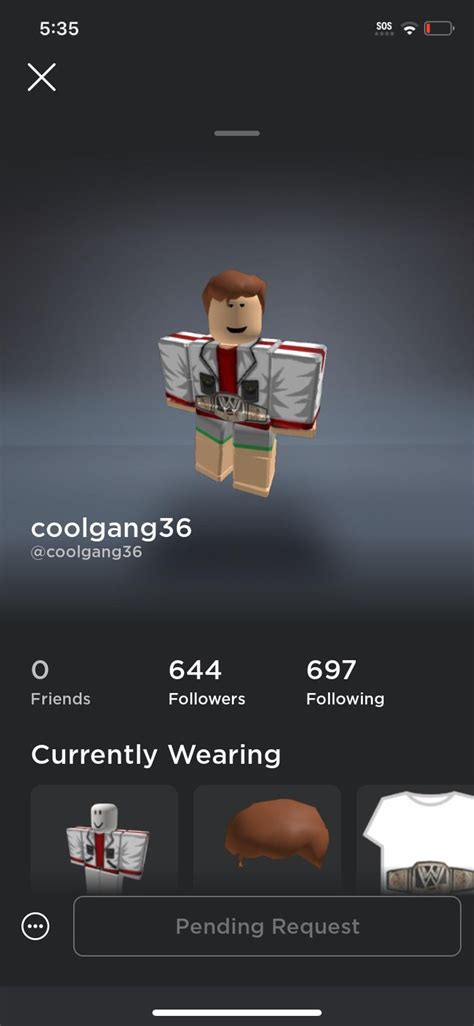 Image result for How to Get Your ACC Back in Roblox