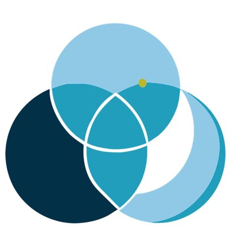 Image result for Venn Diagram Shapes