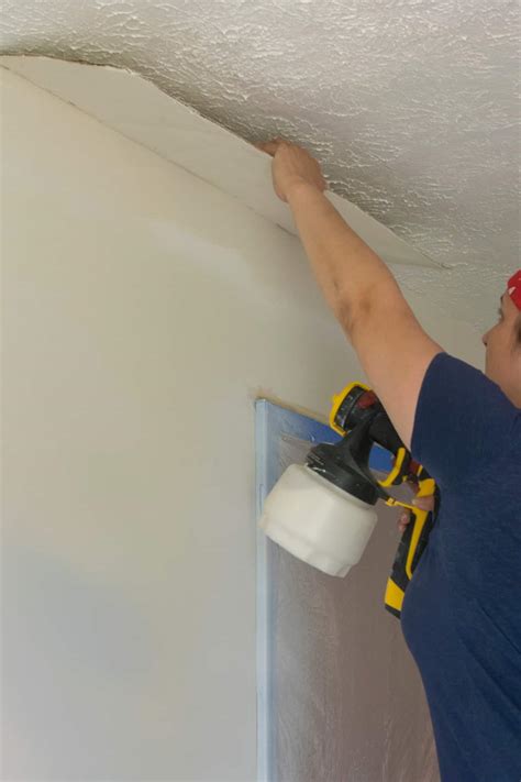 Image result for Textured Plaster Ceiling