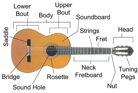 Image result for 12 String Guitar Labeled Diagram