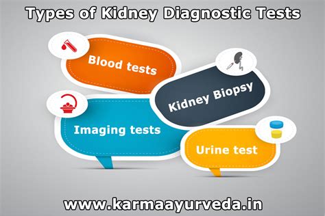 Image result for Acute Kidney Failure Diagnostic Test
