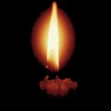 Image result for TB Run in Roblox