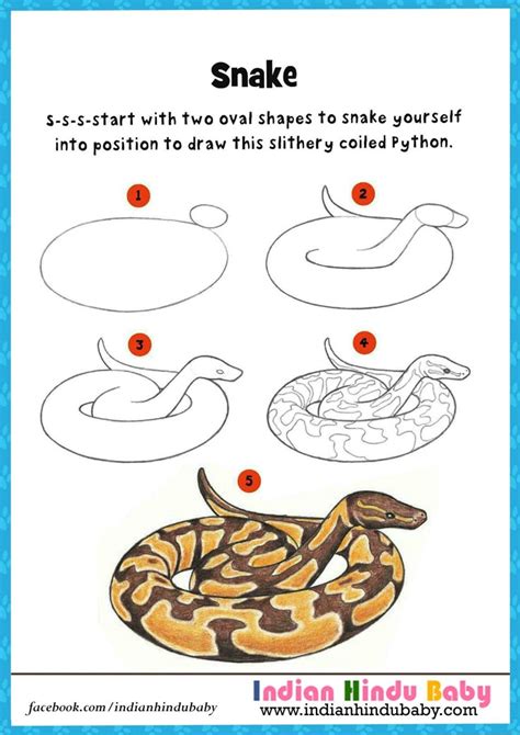 Image result for How to Draw a Small Python Snake