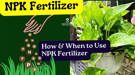 Image result for NPK Fertilizer P2O5