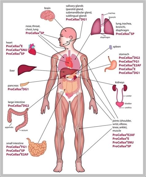 Afbeeldingsresultaten voor Baby Crochet Patterns