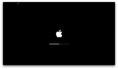 Image result for Apple Boot Screen