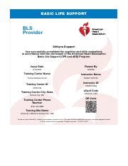Image result for Basic Life Support Certificate