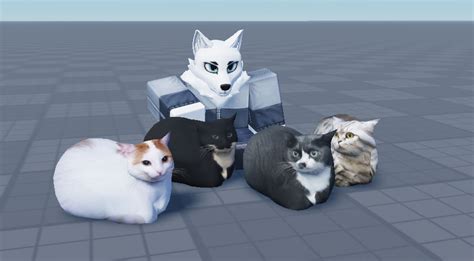 Image result for Evil Maxwell Cat