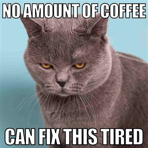 Feeling Tired Meme に対する画像結果