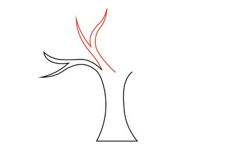 Toradh íomhá ar How to Draw a Tree Diagram