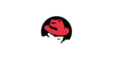 Image result for RHEL Default Wallpaper