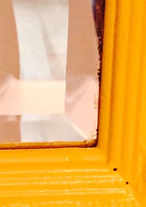 Image result for Mirror Decal Roblox