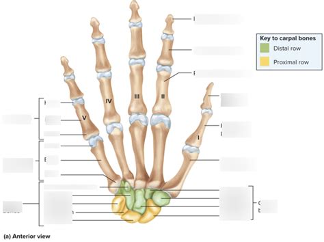 IP Lab Exercise 7에 대한 이미지 결과