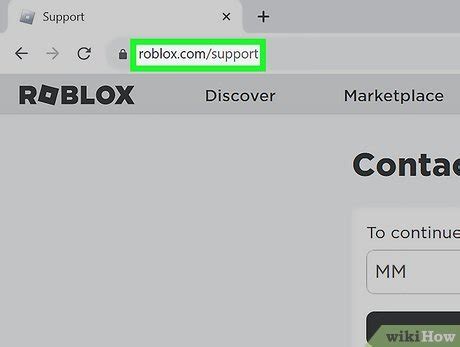 Image result for How to Get Unbanned From a Roblox Game