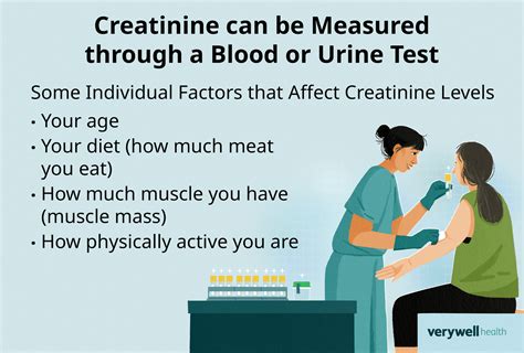 Afbeeldingsresultaten voor Normal Creatinine Levels Chart