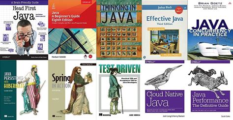 Image result for Professional Java Book
