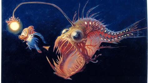 Finding Nemo Parte 6 Espanol に対する画像結果