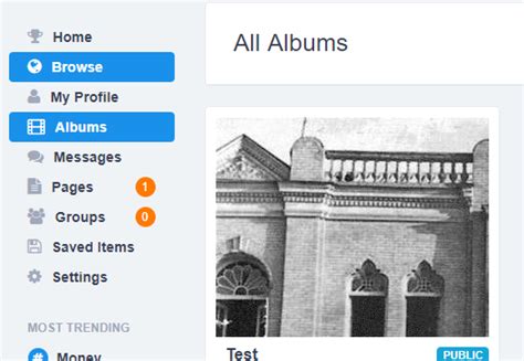 Toradh íomhá ar Social Network Code Laravel