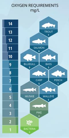 Examples of Dissolved Oxygen に対する画像結果