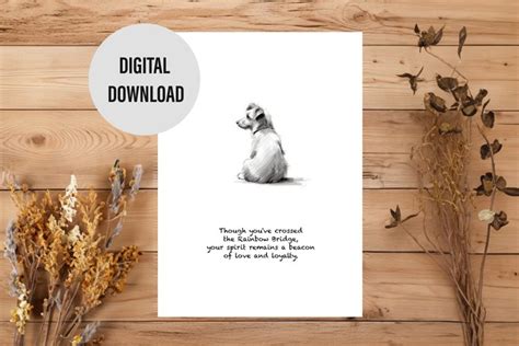 Image result for Doy Lossy