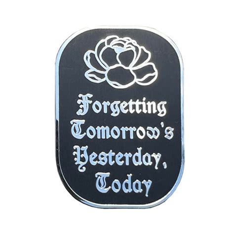 Forgetting Pin に対する画像結果
