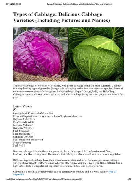 Types of Cabbage - Delicious Cabbage Varieties (Including Pictures and ...