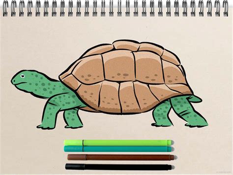 Image result for Turtle Cat Drawing