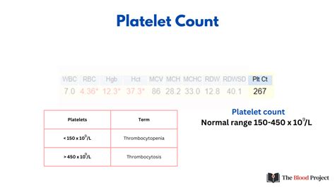 Toradh íomhá ar Normal Blood Platelet Count