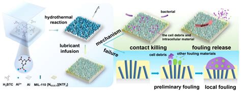 Biomimetics Coating ಗಾಗಿ ಇಮೇಜ್ ಫಲಿತಾಂಶ