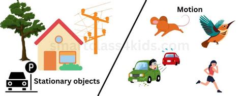 Image result for Motion and Types with Examples