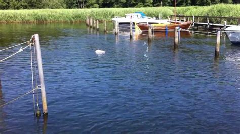 Image result for RC Boot Test