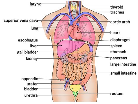 Afbeeldingsresultaten voor Baby Crochet Patterns