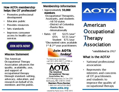 Image result for AOTA Flyers