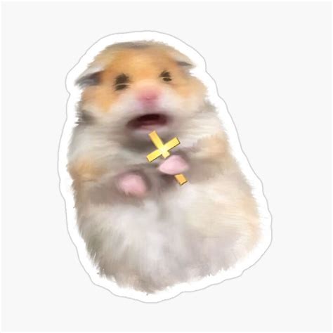 Image result for Frightened Hamster Meme