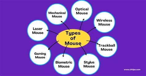 Image result for Different Types of Mouse
