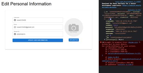 Toradh íomhá ar Redux Toolkit Reactjs