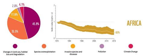 Image result for Biodiversity Loss Graph