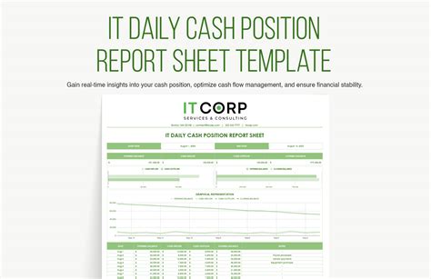 Image result for Daily Cash Position Report Template