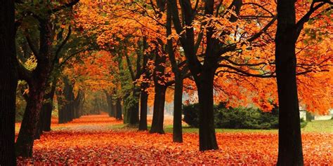 Image result for Fall Seasons