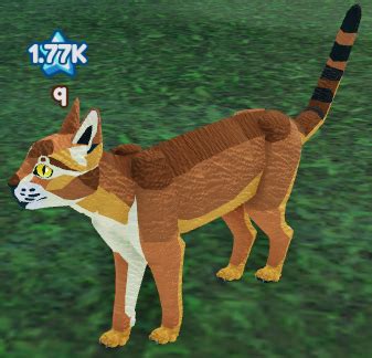 Roblox Animal Kingdom Development に対する画像結果