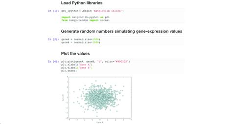 Image result for Jupyter Notebook Example Code