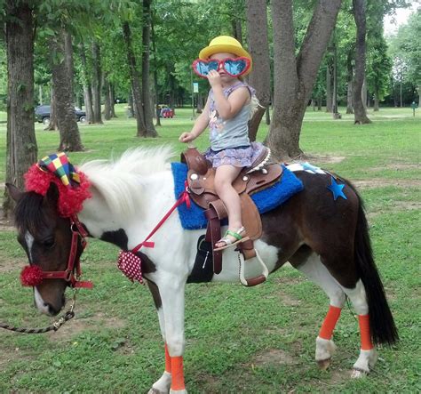 Inflatable Pony Ride-க்கான படிம முடிவு