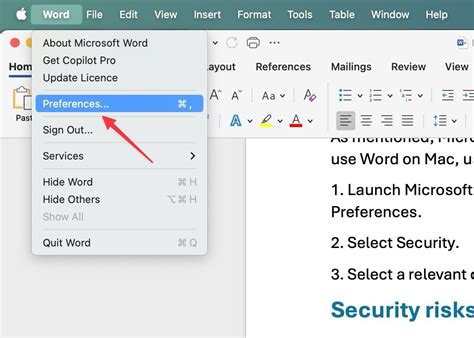 Image result for Macro Settings Word