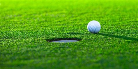 Golf Climate Control Problems に対する画像結果