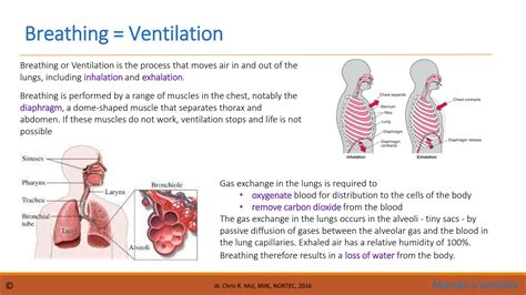 Image result for How Does Ventilator Work